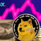 Is a Dogecoin price spike on the horizon? | The Express Tribune