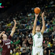 Oregon vs Portland Prediction 11-12-24 College Basketball Picks