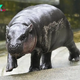 Viral Baby Pygmy Hippo Moo Deng Has an Official Song Released in Four Languages