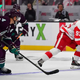 Anaheim Ducks vs Detroit Red Wings Prediction 11-15-24 NHL Picks