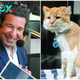 Wasim Akram pays the price for purr-fection | The Express Tribune