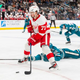 NY Islanders vs Detroit Red Wings Prediction 11-25-24 NHL Picks