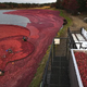 Thanksgiving Will See Millions Eating Cranberry Sauce. Where Do Those Cranberries Come From?