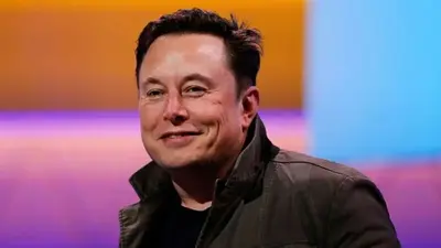 What Elon Musk's Twitter acquisition means for the midterm elections