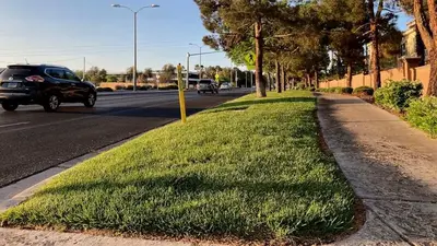 Western US cities to remove decorative grass amid drought