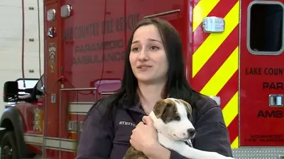 First responders adopt dogs they helped rescue from Wisconsin plane crash