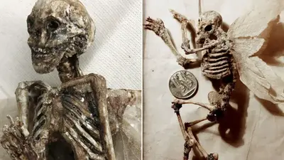 Bodies of Mysterious Mythical Beings Were Discovered In a Basement in England