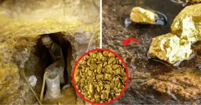Tools dating back 40 million years were found in a Californian gold mine