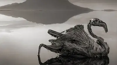 Lake Natron: The Mysterious Petrified Mummies Of Tanzania