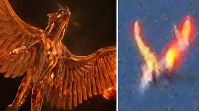 Did The Ancient God Horus Return To Earth? Bizarre Burning Creature Recorded Flying In Colorado