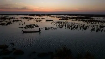 Salt, drought decimate buffaloes in Iraq's southern marshes