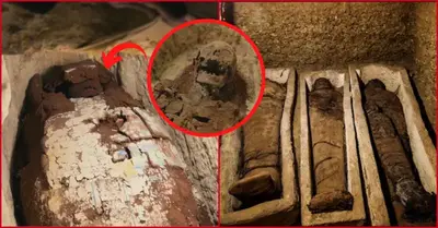 Αncient Egyptian ‘city of the deаd’ discovery reveals ‘elite’ mummies