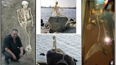 Are Fairy, Mermaids, Dragons, Mysterious Creatures Real? Mermaids