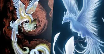 "Legendary White Phoenix" Appeared, Causing Netizens To Stir Up Because It Was So Beautiful