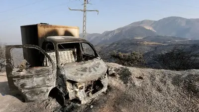 Algeria sentences 49 to death for mob killing amid wildfires