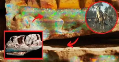 A gemstone is discovered to be a dinosaur fossil