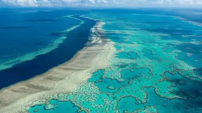 UN: Great Barrier Reef should be on heritage 'danger' list