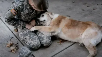 Elderly Dog Hardly Can Walk, Cries When She Sees Her Soldier Mom Coming Back Home!!