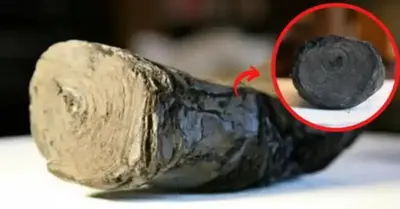Ancient scrolls charred by Vesuvius could be read once аɡаіn