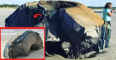 A strange object that looked like a flying saucer from another planet washed up on a US beach, surprising everyone who saw it