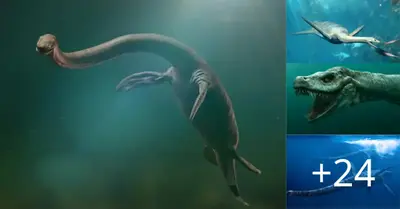 Discovered the remains of “Loch Ness monster” 3 meters long in the river Morocco