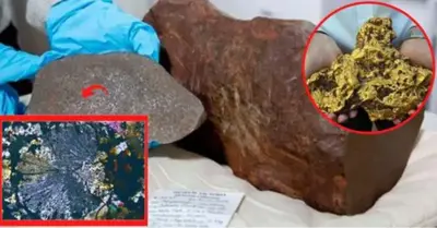 The discovery of a four-billion-year-old meteorite in a gold nugget