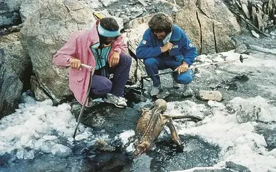 New Research Rewrites How He Died And How He Was Preserved 30 Years After The Discovery Of Ötzi, The “Iceman” Mummy