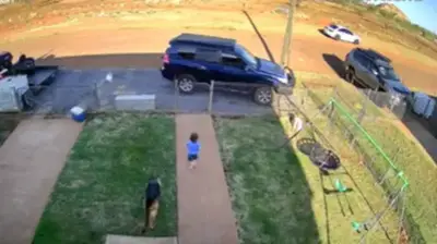 Spot the snake: CCTV captures Queensland mum saving young boy from snake