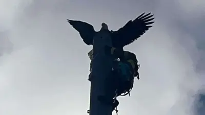 Eagle saved from atop 120-foot tall radio tower lightning rod