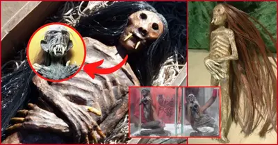 A human being or a hoax? – Archaeologists in Indonesia are terrified by a terrifying monster skeleton