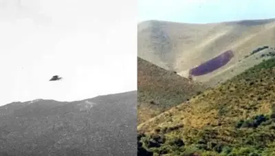 In 1986, In Argentina, A U̳F̳O̳ Burned A Hill Sucked The Insides Of Insects And Took Chlorophyll From A Tree.