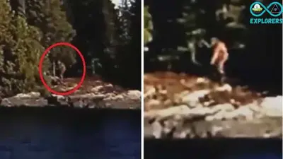 Bigfoot Filmed Striding Along The Shore In Northern Ontario
