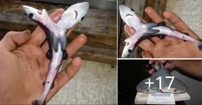 Learn about the history of the two-headed shark