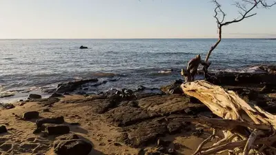 Man injured in shark attack at Hawaii beach