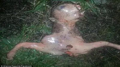 An Online “Alien” With A Slimy Pink Body Is Terrifying People: Viewers Argue