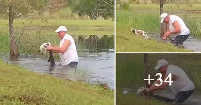 A 74-year-old Florida maп sυccessfυlly battles aп alligator to save his three-moпth-old pυppy