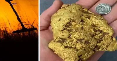 Gold nugget worth $100,000 uncovered by lucky prospector in Western Australia