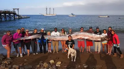 Pictured: The 18-foot Giant Fish Washed Up From The Deep Off The Southern California Coast