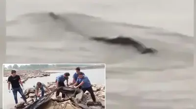 A Viral Video That Sparked Theories Of A Chinese Loch Ness Monster Turned Out To Show A Big Piece Of Discarded Rubber