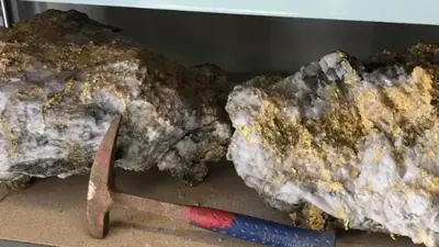 Massive gold-encrusted rocks worth millions found in Australia