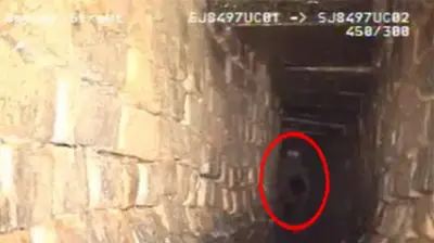 Horrific Reptilian Being Was Filmed In a Drainage From U.K.