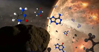 Meteorites from outer space include all five essential components of our DNA