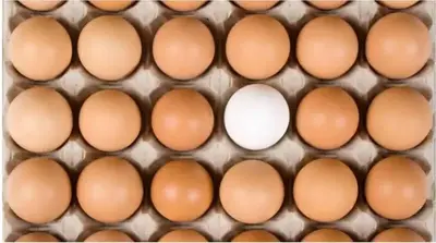 Brown Eggs vs. White Eggs: What’s the Difference?