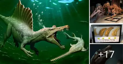 Spinosaurus was confirmed by palaeontologists to be a real-life “river monster.”