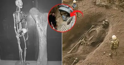 Archaeologists are stunned by the finding of the bones of the ancient enormous warriors
