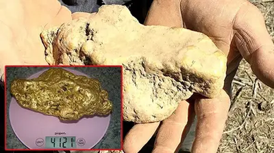 This Australian Man Just Found A Massive 4kg Gold Nugget