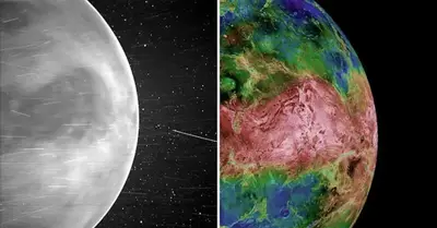Observable light images of Venus’ surface have just been released by NASA.