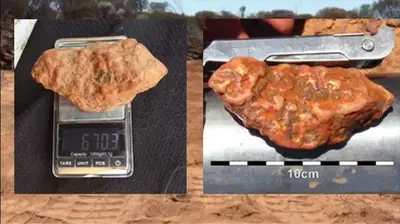 Gold fever in WA as miner digs up big nuggets