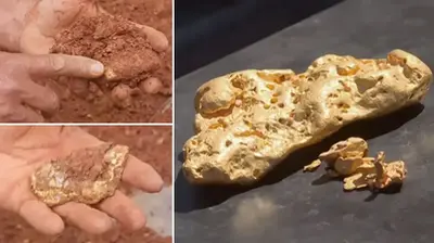 Australian gold hunters found a huge nugget