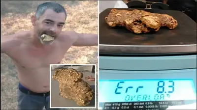 Prospector finds massive gold nugget worth over 50000 in a small california town which is now preparing for wild west style gold rush